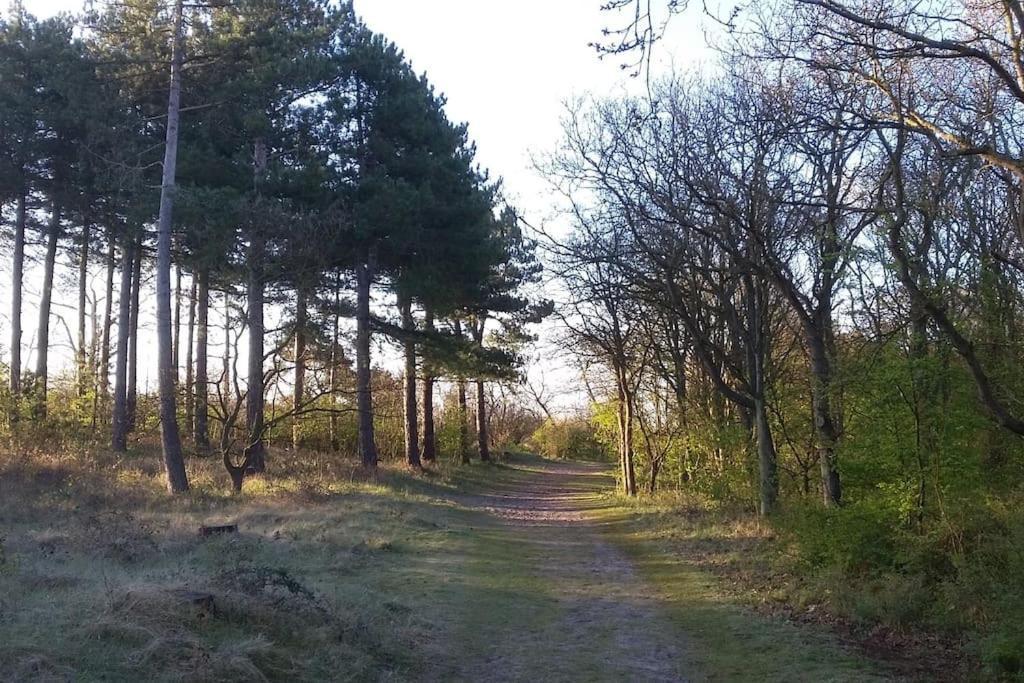 Cottage Egmond-Binnen Met Besloten Tuin Zewnętrze zdjęcie