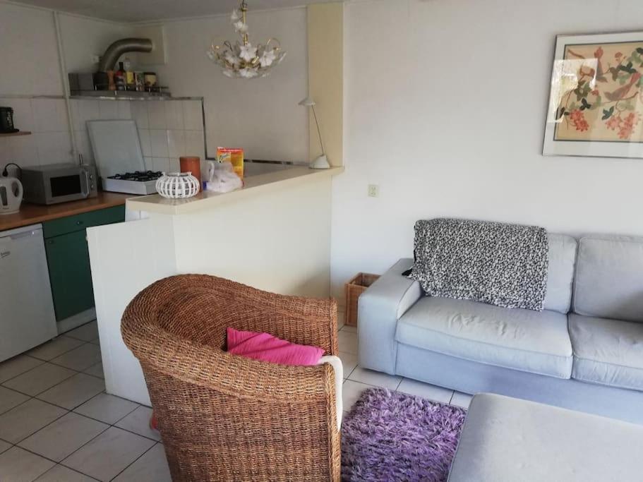Cottage Egmond-Binnen Met Besloten Tuin Zewnętrze zdjęcie