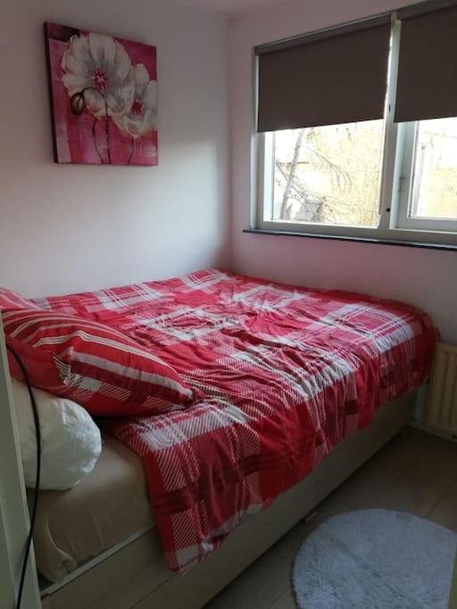 Cottage Egmond-Binnen Met Besloten Tuin Zewnętrze zdjęcie