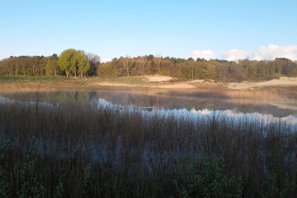 Cottage Egmond-Binnen Met Besloten Tuin Zewnętrze zdjęcie