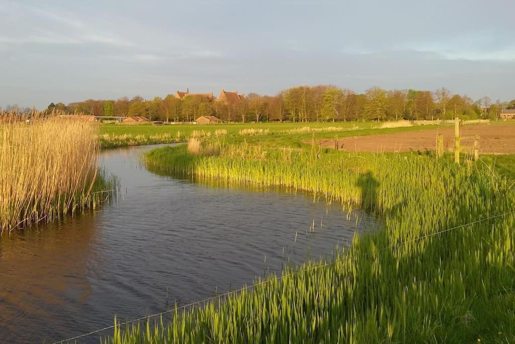 Cottage Egmond-Binnen Met Besloten Tuin Zewnętrze zdjęcie