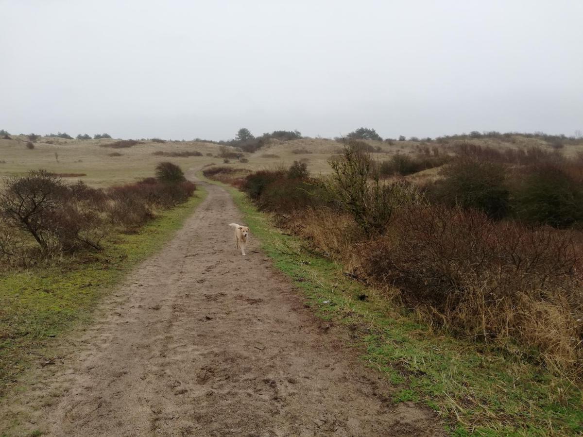 Cottage Egmond-Binnen Met Besloten Tuin Zewnętrze zdjęcie