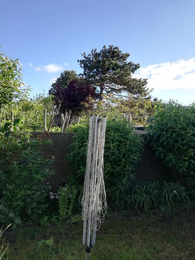 Cottage Egmond-Binnen Met Besloten Tuin Zewnętrze zdjęcie